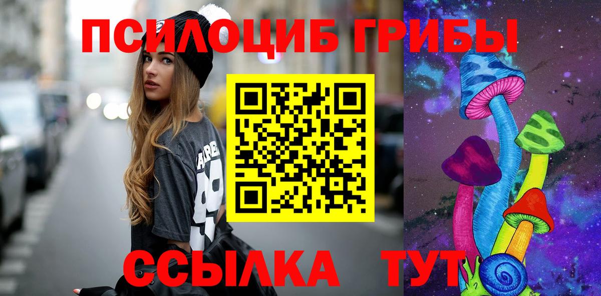 где купить наркоту  Вход с VPN  Янаул  Псилоцибиновые грибы Psilocybine cubensis 